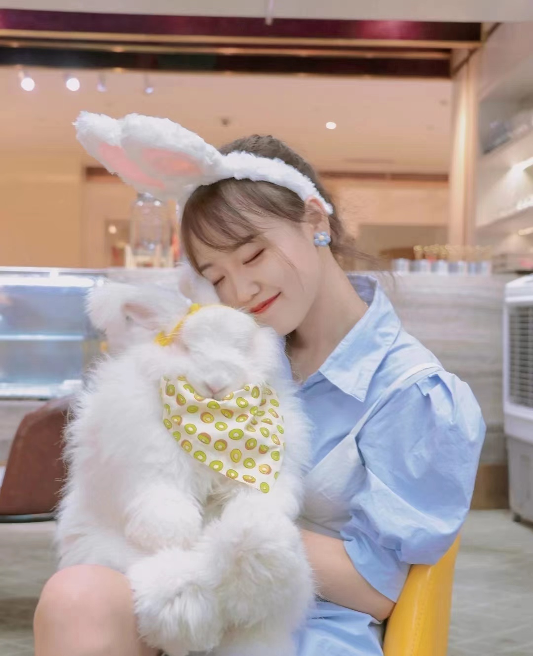 有幾窩未斷奶的小兔拉稀,糞便中帶有膠凍樣的東西。白天沒事,一過夜就會添兩只拉稀的。該怎么辦?