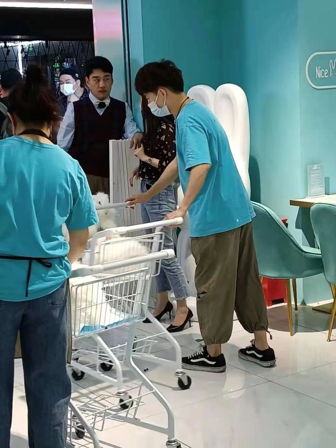 長毛兔從出生到出欄的注意事項：兔寶寶成長全攻略